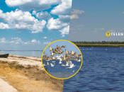 Тузловські лимани на Одещині