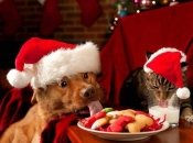 После Нового года у меня аллергия на слово "салат": самые смешные мемы и приколы про новогодние праздники