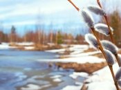 Весна стає часом для оновлення