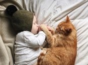 На кого подписаться в Инстаграм: фотоблог о дружбе кота и мальчика