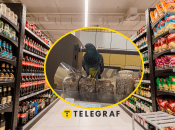 Супермаркет в Днепре