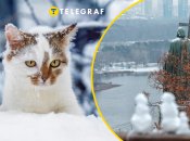 Погода в Киеве на 17-18 января