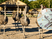 Работа для киевлян