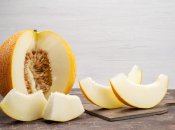 Дыня менее требовательна к удобрениям