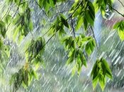 Летний дождь