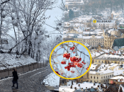 Погода во Львове