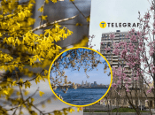 Погода в Днепре