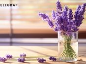 Это растение также имеет много лечебных свойств