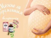 Чем успокоиться: можно ли беременным валерьянку
