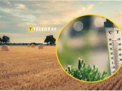 Погода у Львові 6 та 7 серпня