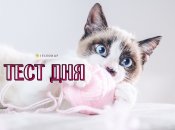 Цікавий тест, наскільки ви товариські