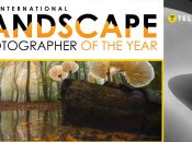 Ілюстративне фото