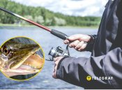 Харків'янин похизувався великою щукою