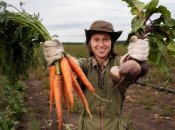Когда можно сажать морковь в апреле