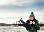 Поривчастий вітер господарюватиме в кількох областях