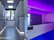 Капсулы обычно расположены в один или два яруса