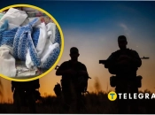 Мобілізація