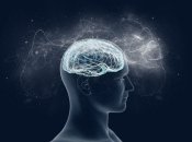 Мозок людини працює не на 10%