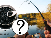 Чи є Україні риби, які мають чорну ікру