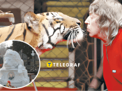 От чего умер директора Национального цирка Шевченко и как выглядит могила