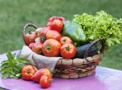 Овощи будут расти гораздо лучше