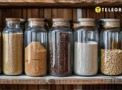 Жуки и моль больше не страшны (фото создано с помощью ИИ)