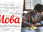 Стилістика української мови