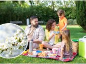 Погода на майские праздники в Украине