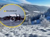 Стадо косуль заметили во Львовской области