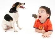 Животные помогают воспитывать детей