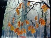 Останній місяць осені буде холодним