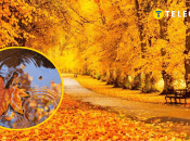 Осень пришла в Украину