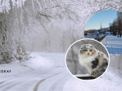 Сніжна погода в Україні