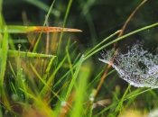 На тепло не рассчитывайте: синоптики дали неутешительный прогноз до конца апреля