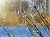 Весна в Украине