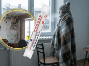 Холод та пліснява