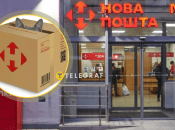 Коробки можуть привабити котів