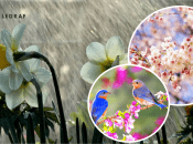 Прогноз погоди в Україні