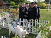 Володимир Путін та Кім Чен Ин