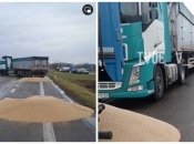 "Вы попали в большую украинскую книгу обидок": украинцы в ярости из-за скандала с зерном в Польше