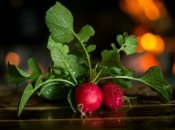 Посадити і виростити редис може навіть новачок