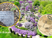 Колаж "Телеграфу"