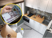 Оновити кімнату можна за добу
