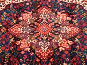 Килим додає затишок в інтер’єрі, якщо він чистий