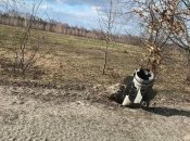 Російський снаряд