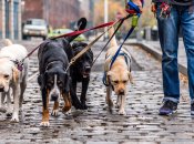 фото з відкритих джерел