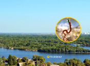 Рыбалка на Трухановом острове была успешной