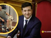 У Володимира Зеленського є два собаки