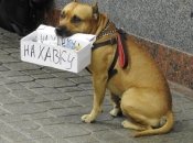 Неделя будет тяжелой для Овнов, Тельцов, Раков и Весов