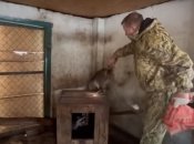 Кадр из видео